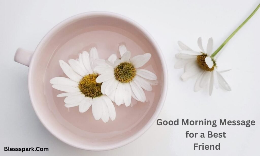 255+ Good Morning Messages for a Friend