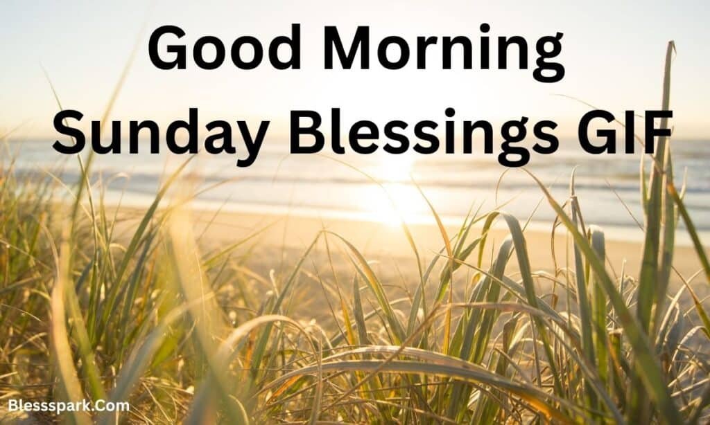 260+ Best Good Morning Sunday Blessings to Start Your Morning