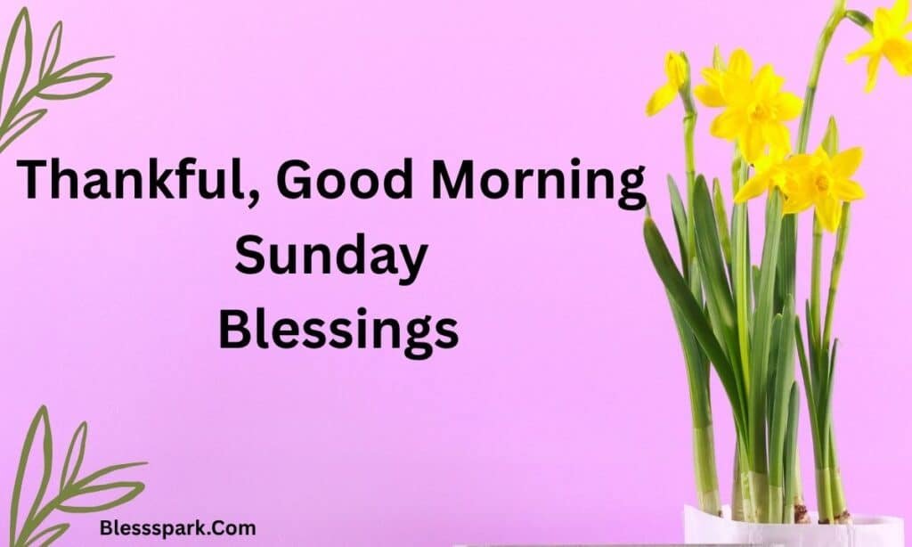 260+ Best Good Morning Sunday Blessings to Start Your Morning