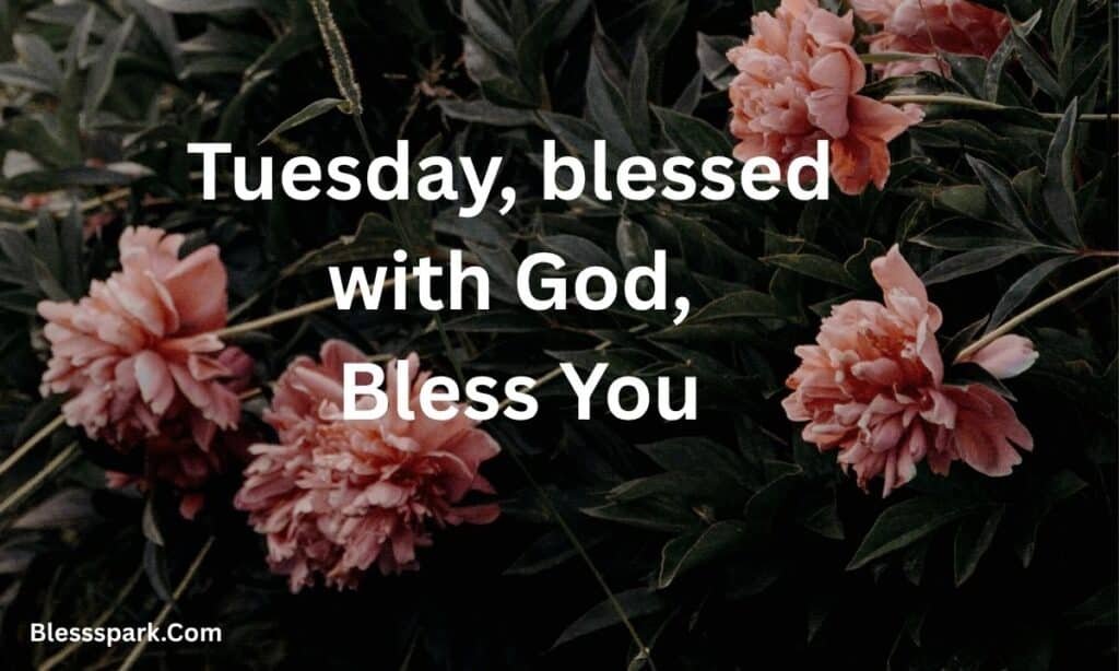 290+ Tuesday Blessings with Quotes to Share and Inspire