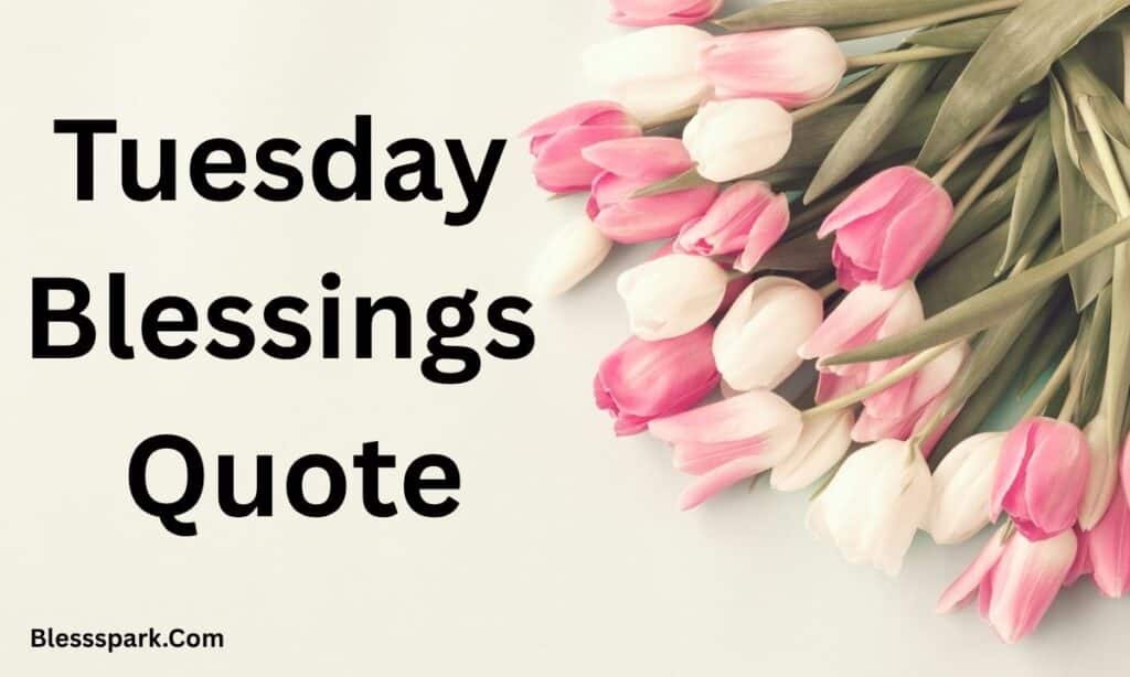 290+ Tuesday Blessings with Quotes to Share and Inspire