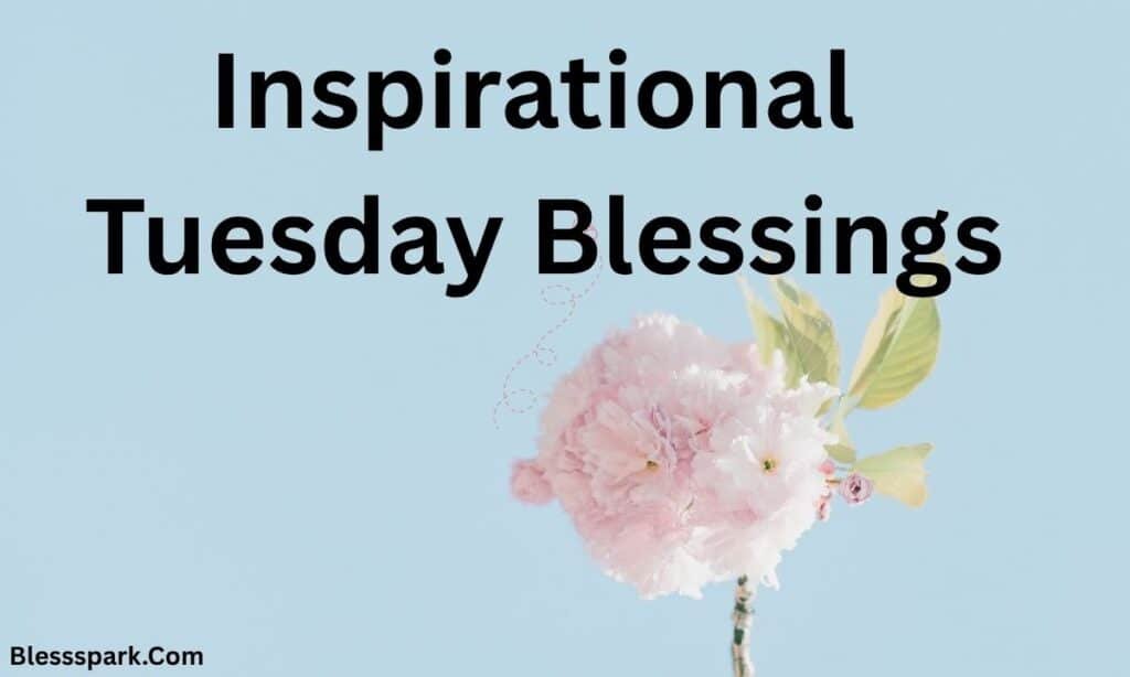 290+ Tuesday Blessings with Quotes to Share and Inspire