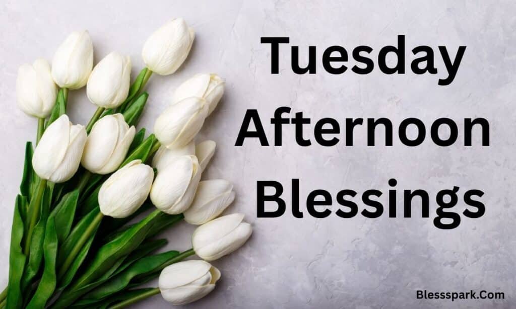290+ Tuesday Blessings with Quotes to Share and Inspire