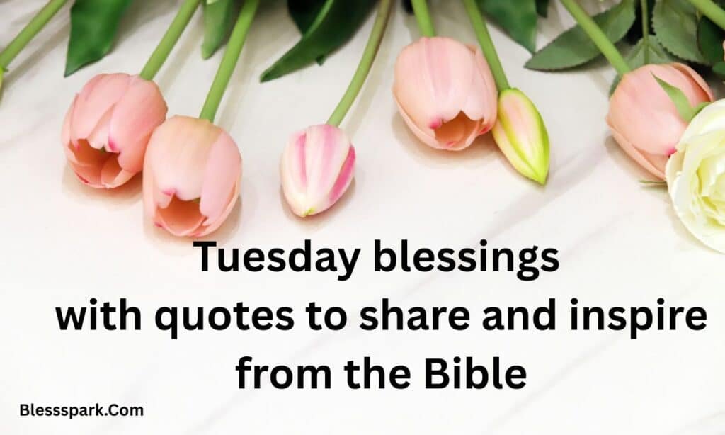 290+ Tuesday Blessings with Quotes to Share and Inspire