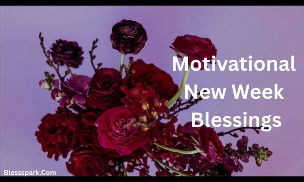 290+ New Week Blessings Powerful Wishes, Quotes, and Prayers