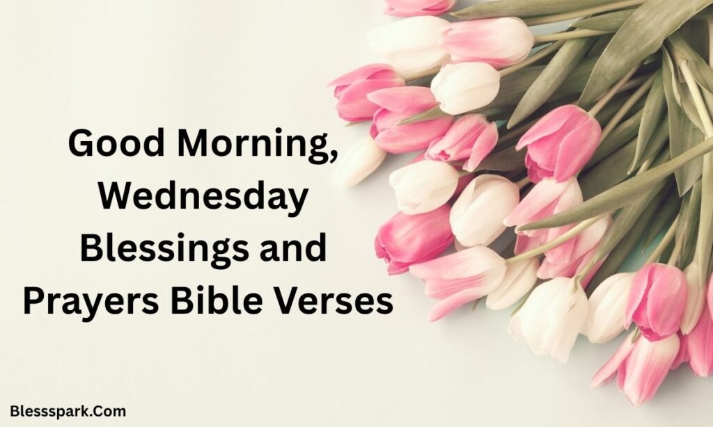 230+ Inspirational Good Morning Wednesday Blessings and Prayers