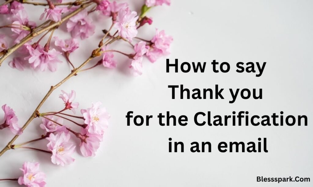 240 Thank You for the Clarification Messages – Say It Better Today