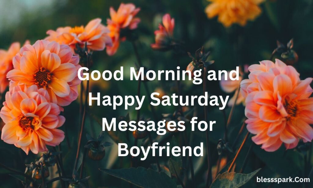 290+ Best Good Morning and Happy Saturday Messages to Loved Ones