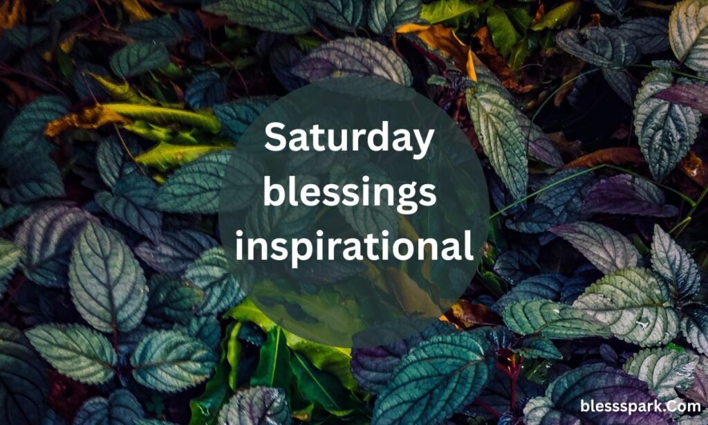 290+ Best Good Morning and Happy Saturday Messages to Loved Ones