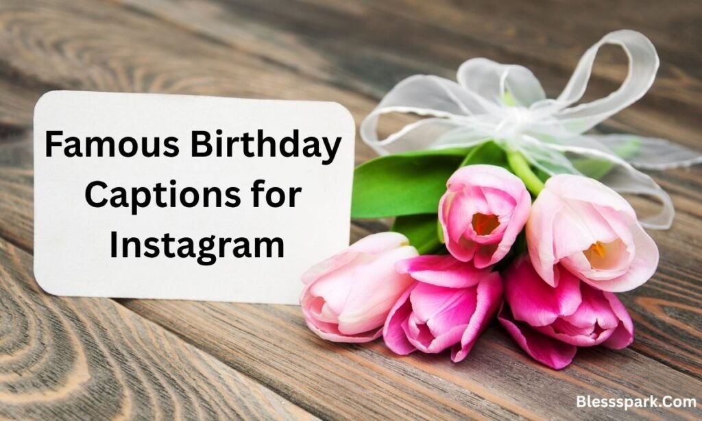 335+ Best Birthday Instagram Captions That Go Viral
