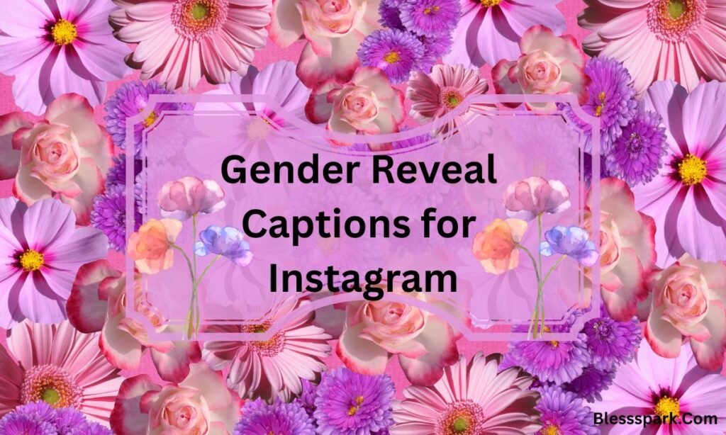 360+ Funny Gender Reveal Blessings