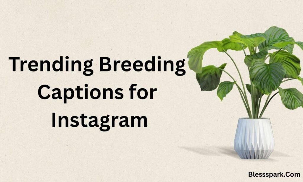 500+ Breeding Captions That Get Likes