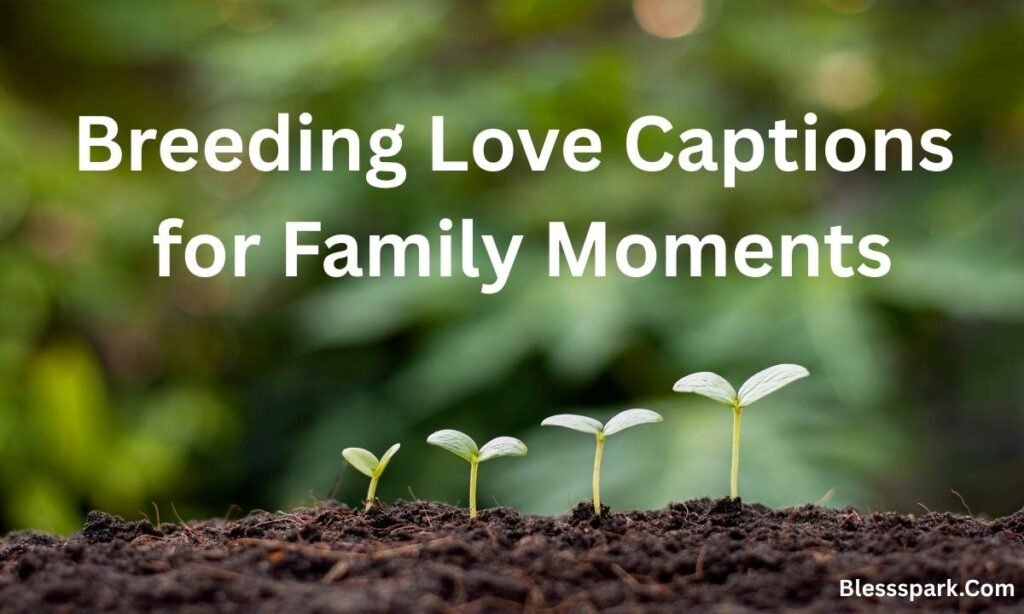 500+ Breeding Captions That Get Likes