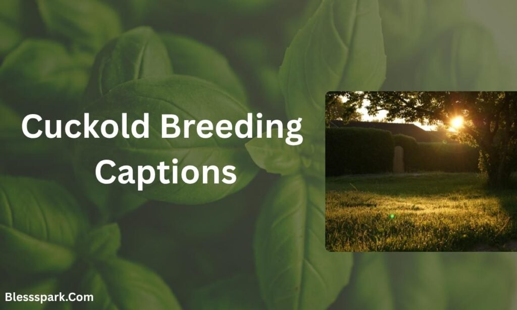 500+ Breeding Captions That Get Likes