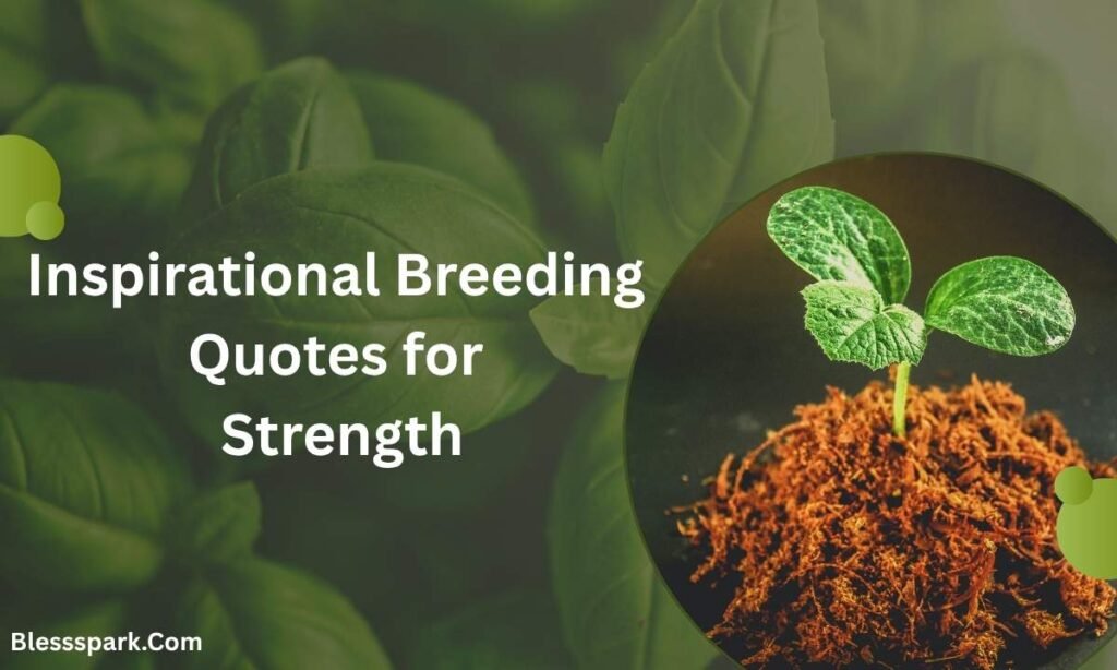 500+ Breeding Captions That Get Likes