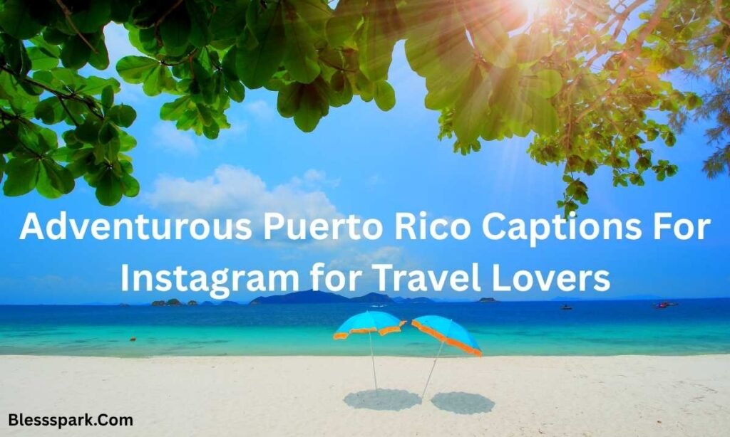510+ Best Puerto Rico Captions For Instagram to Boost Likes Fast