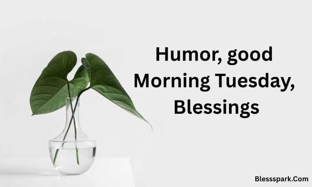 510+ Humor Good Morning Tuesday Quotes & Blessings 2026