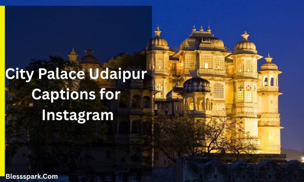 585 + Best Udaipur Captions for Instagram That Show Royal Vibes