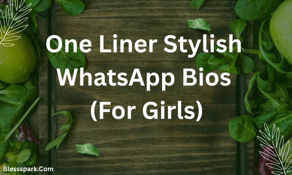 730+ Best Stylish WhatsApp Bio for Boys and Girls for 2026