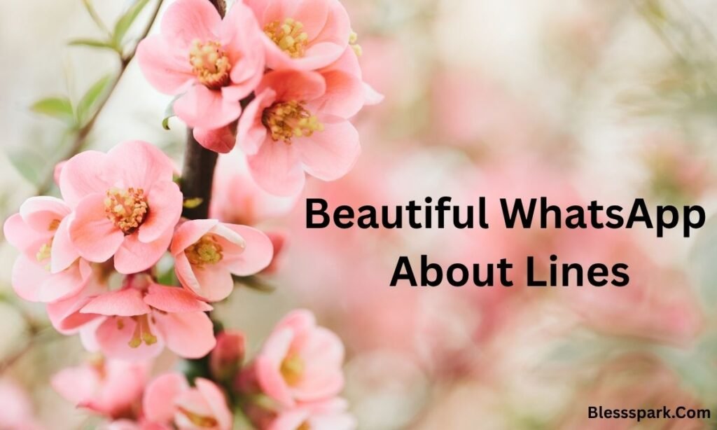 820+ Best WhatsApp About Lines for Every Mood, Style & Personality