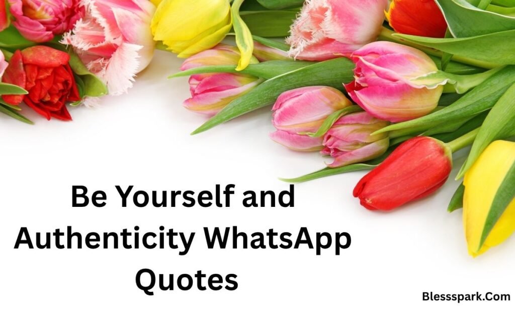 820+ Best WhatsApp About Lines for Every Mood, Style & Personality