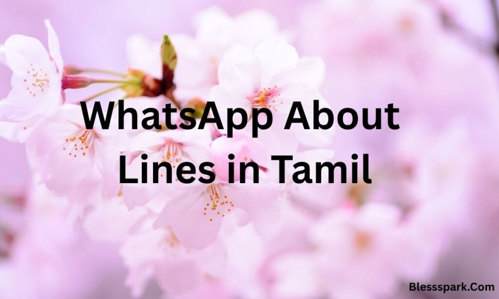 820+ Best WhatsApp About Lines for Every Mood, Style & Personality