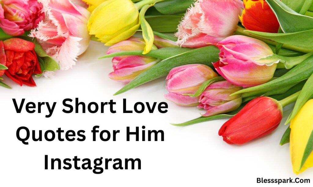 265+ Very Short Love Quotes for Him That Melt Hearts