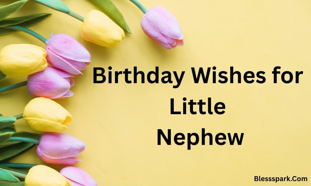 370+ Happy Birthday Wishes for Nephew with Love