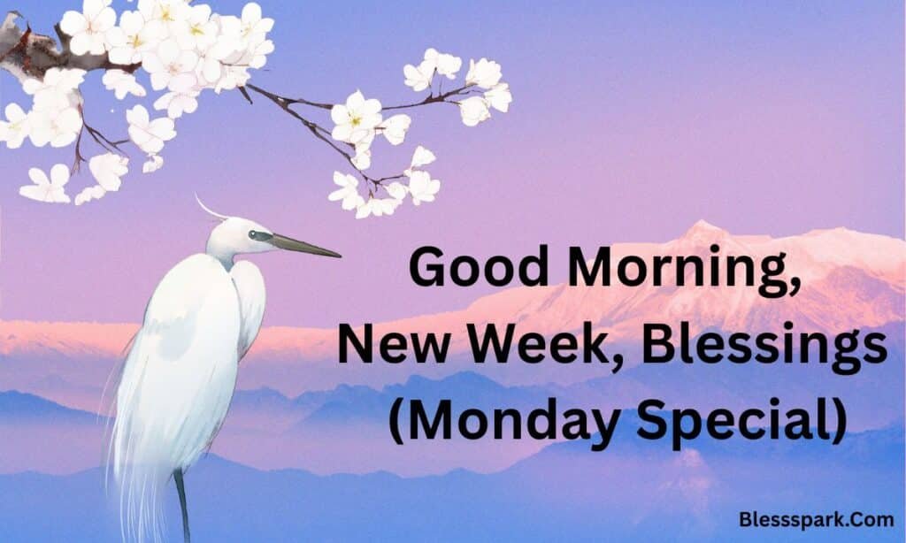 250 Powerful New Week Blessings for a Fresh, Positive Start
