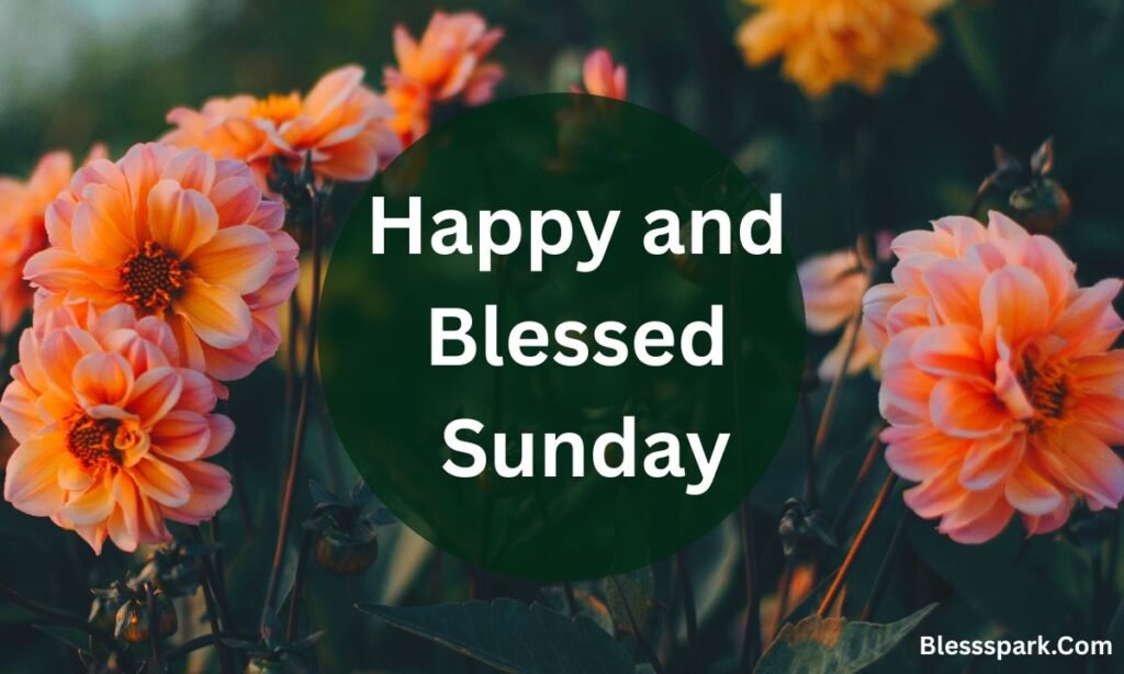 250+ Happy and Thankful Sunday Blessings, Prayers, and Wishes