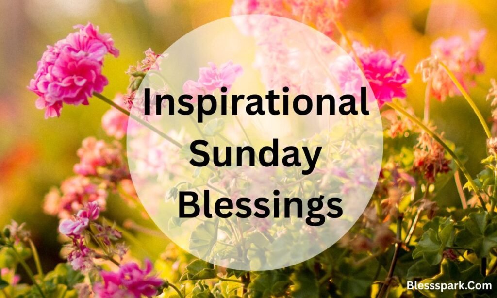 250+ Happy and Thankful Sunday Blessings, Prayers, and Wishes