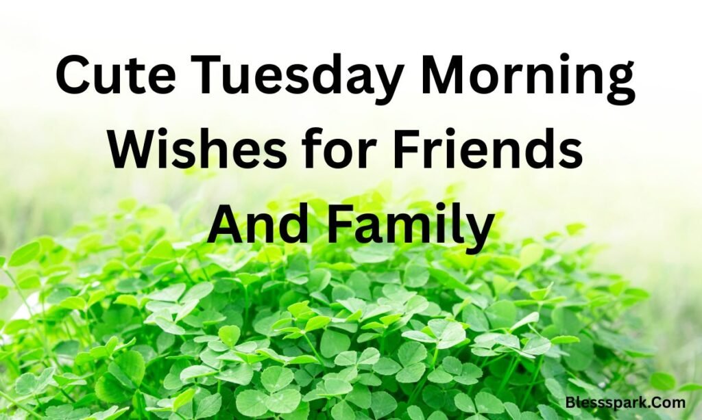 330 Uplifting Tuesday Blessings to Heal Your Heart