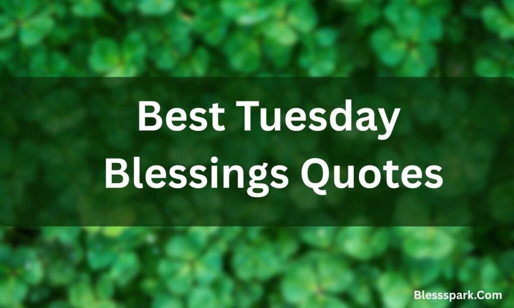 330 Uplifting Tuesday Blessings to Heal Your Heart