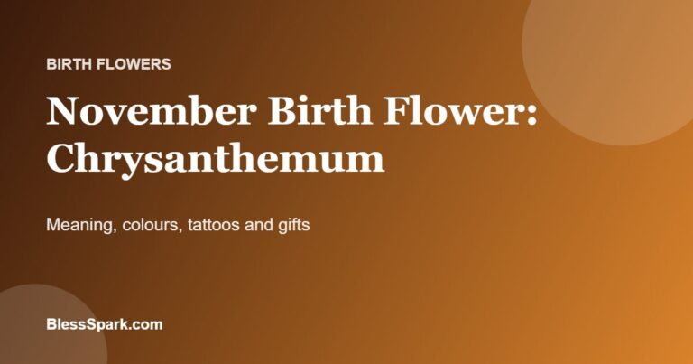 november birth flower chrysanthemum