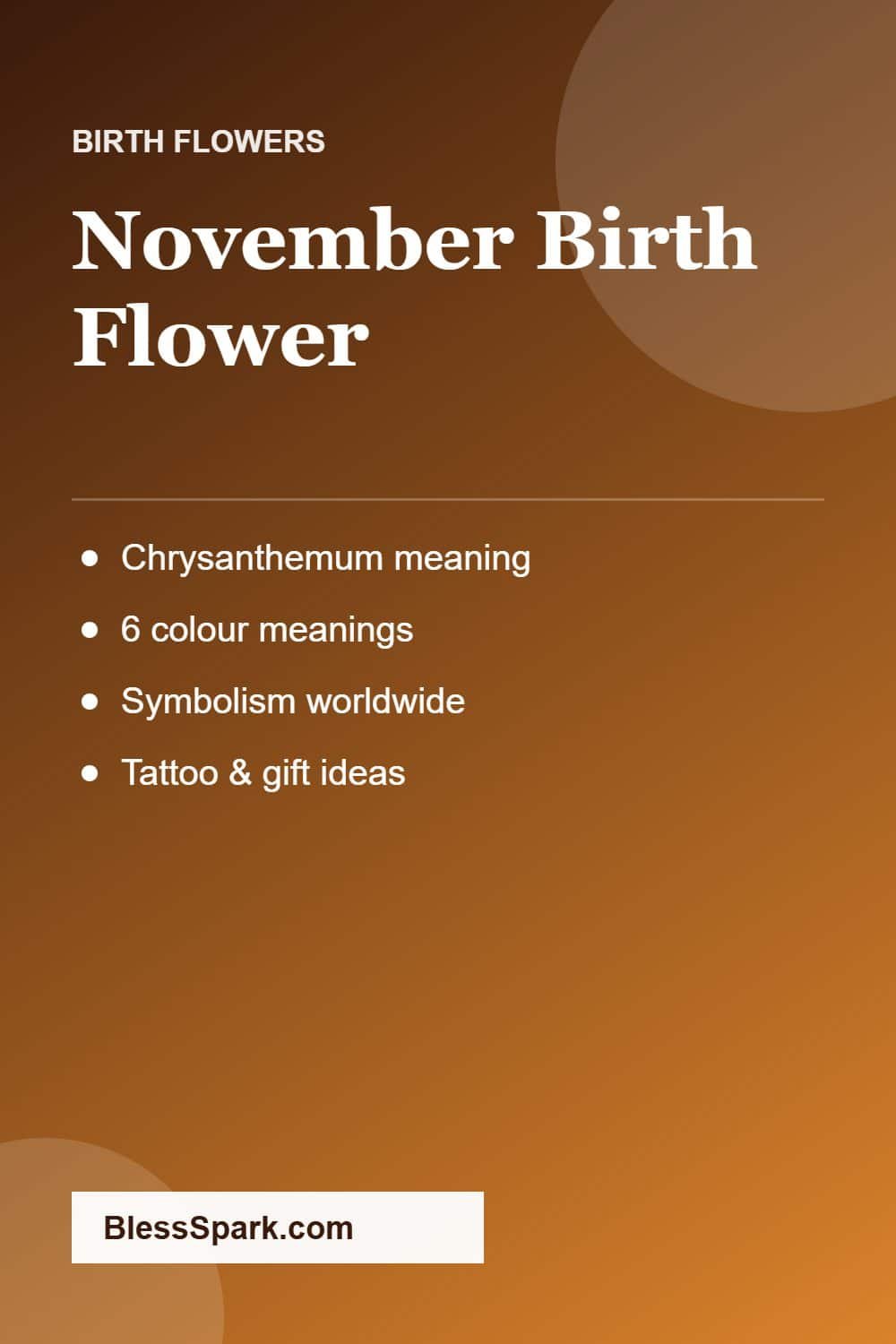November birth flower chrysanthemum meaning