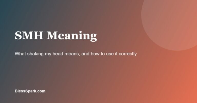 smh meaning explained on a teal and orange background